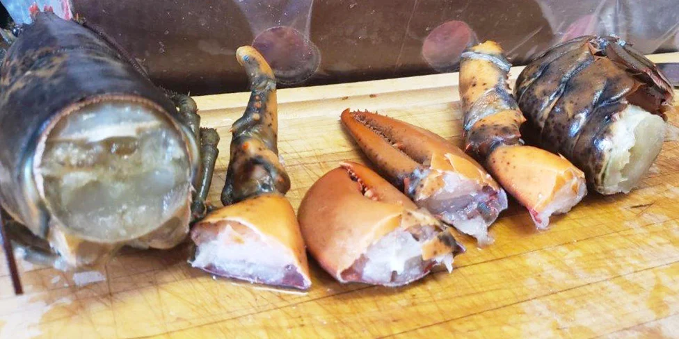 HOMARD CRU CANADA ENVIRON 700G NET - Image 4