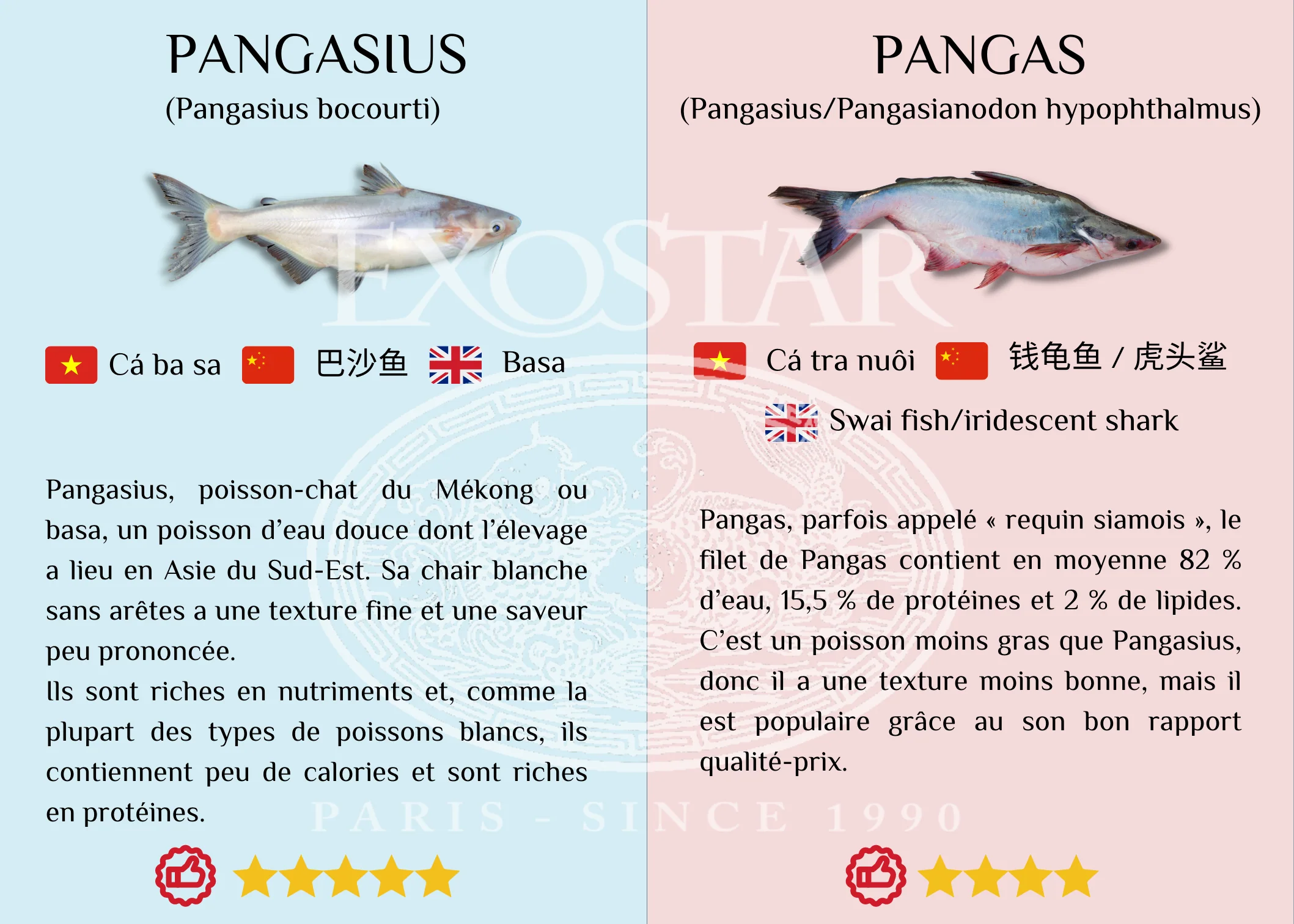 PANGAS EN TRANCHE 1KG (800GE NET) - Image 3